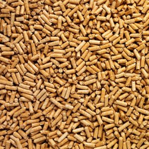pellets estándar